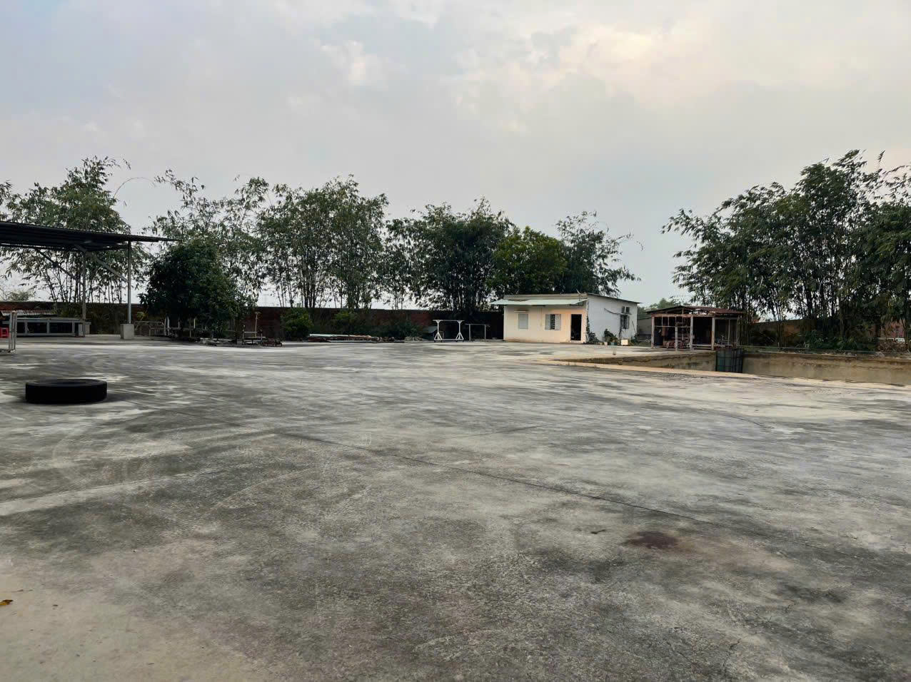 Trần Đức Huỳnh