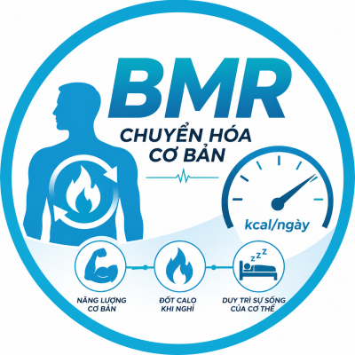Tốc Độ Chuyển Hóa BMR