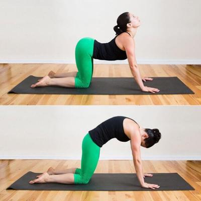 Yoga trị đau thắt lưng và cột sống cổ